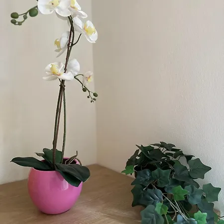 Lejlighed Molinari House Giada - Free Ztl Modena